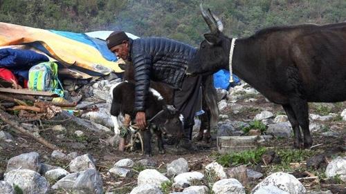 아시아 최고영화로 인정한 울주세계산악영화제 역대 넷팩상 작품