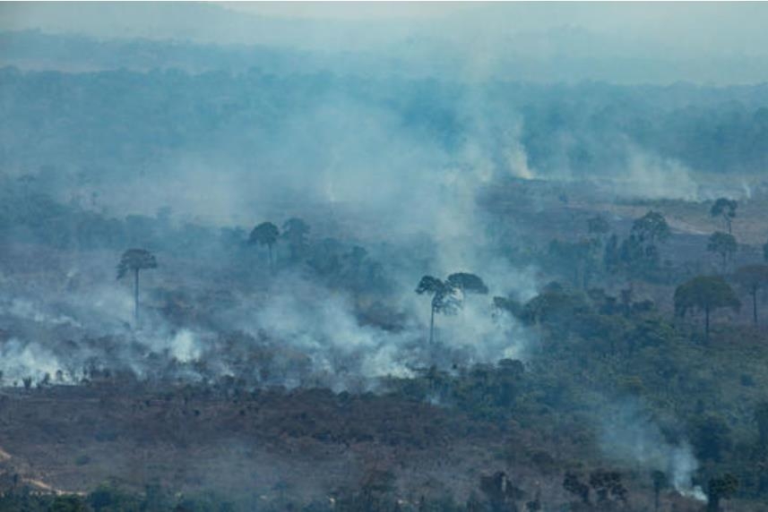 기후정상회의 앞둔 브라질에 "과감한 환경목표내놔야" 압박 고조