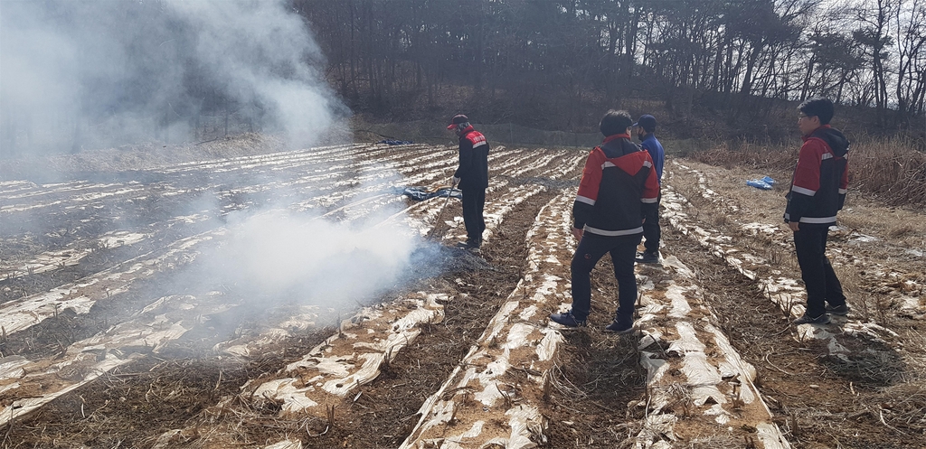 주말 산불방지 기동 단속…불법소각 과태료 최고 30만원