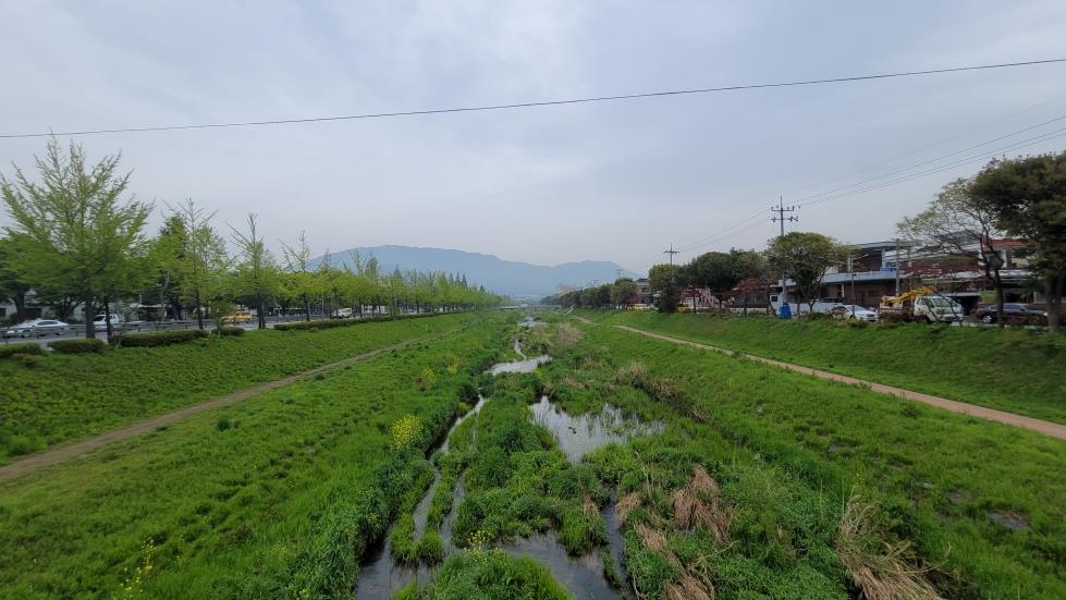 창원 도심 창원천·남천서 천연기념물 수달 서식 공식 확인