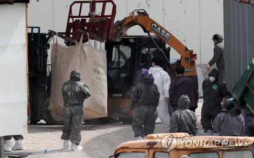 충북 11곳서 터진 AI…가금류 323만마리 살처분, 역대 2번째