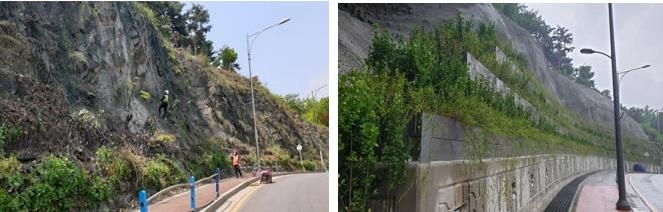 서울시, 장마 대비 산사태 취약지역 81곳 사방공사