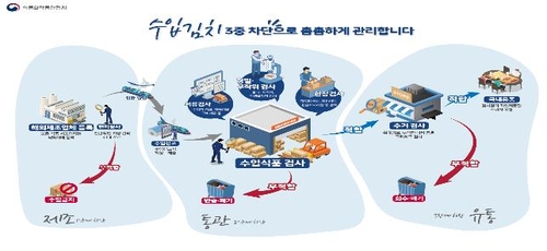 정부, '중국 알몸김치' 논란 속 해외 김치제조사 전체 현지실사(종합)