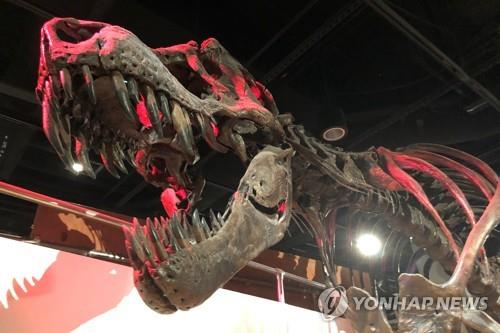 공포의 육식공룡 티라노사우루스가 25억 마리 | 한국경제