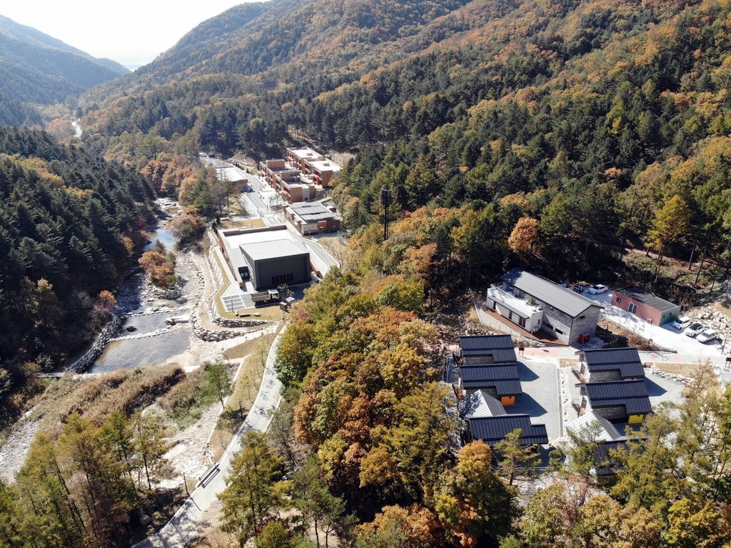 춘천숲체원 산림 레포츠 시설·시티투어 버스 운영