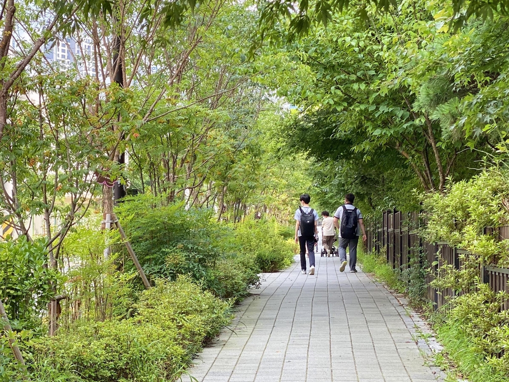 나무가 있는 통학로…올해 서울 6개 학교 주변 녹화사업