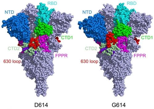 코로나19 걸렸던 사람은 mRNA 백신 2차 접종 필요 없다