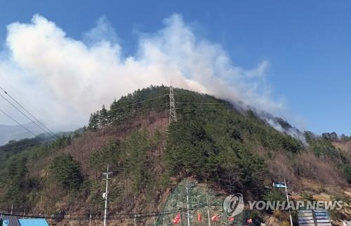 대구·경북 건조한 날씨…화재 조심