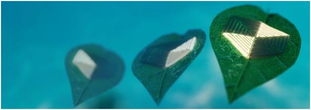[사이테크 플러스] 팔랑이는 나뭇잎처럼 물속 수영하는 '나뭇잎로봇' 개발