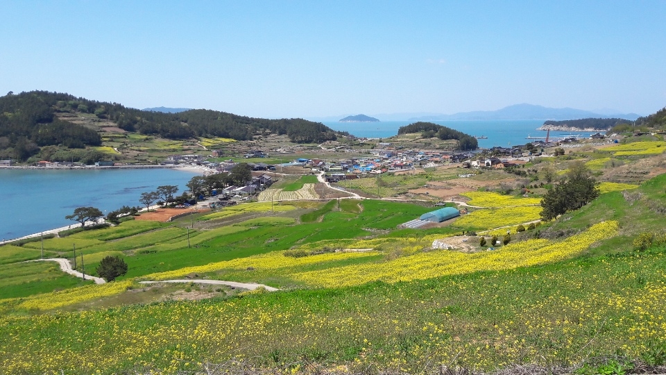 완도해경, 유네스코 세계유산 청산도 구들장논 보호 앞장