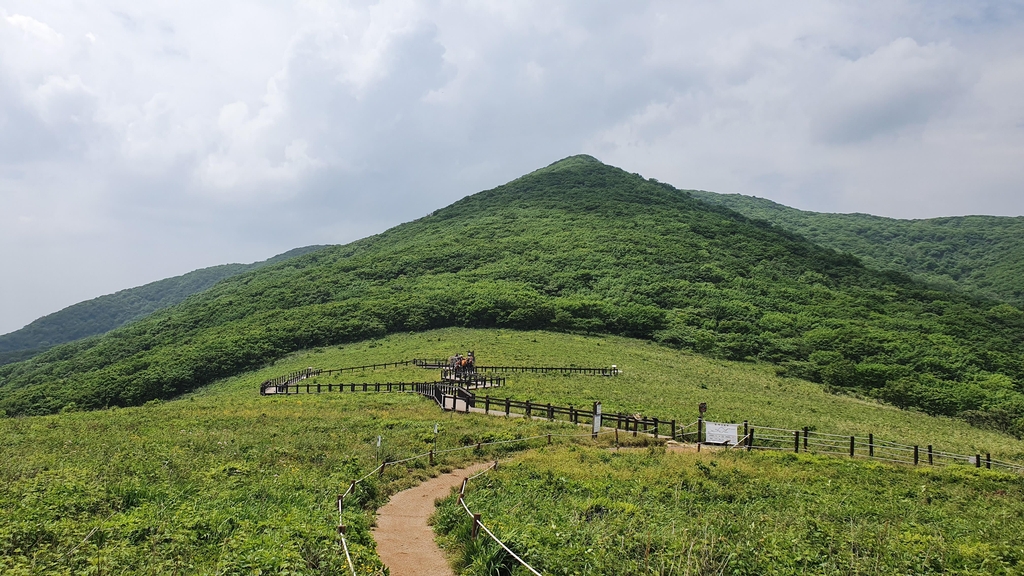 인제 곰배령 탐방 예약제 시행…하루 허용 인원 300명