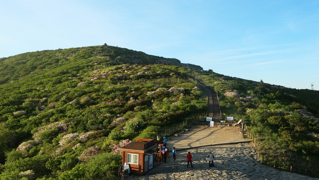 구례군, 지리산 성삼재 노선 농어촌버스 운행 재개