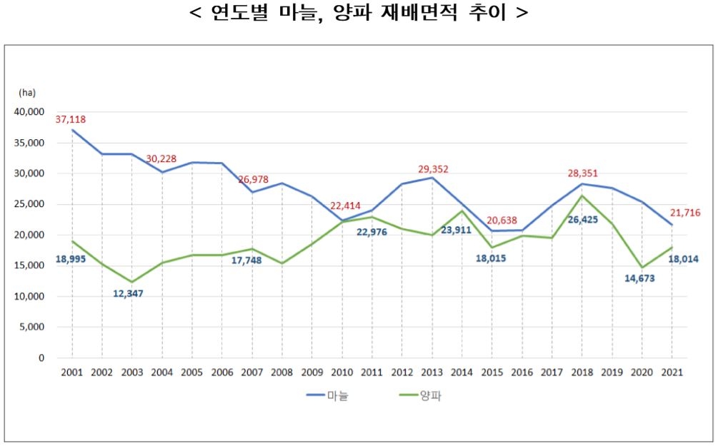 작년 가격하락에 올해 마늘 재배면적 14%↓…양파는 23%↑