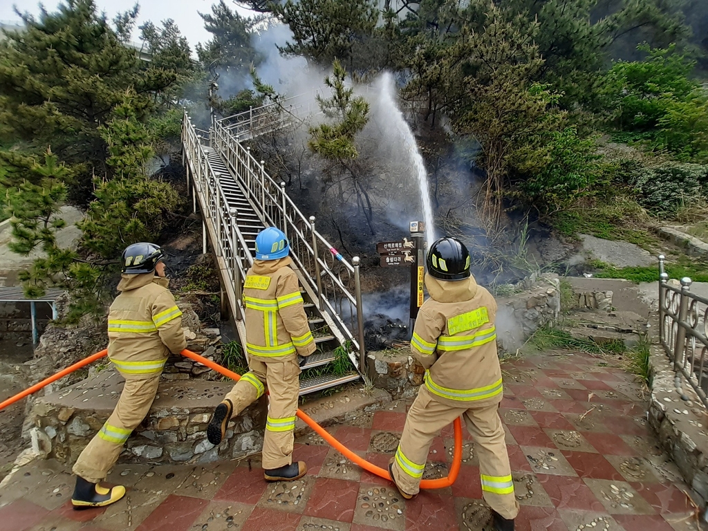 부산 영도구서 용접 불티로 산불…40여분 만에 진화(종합)