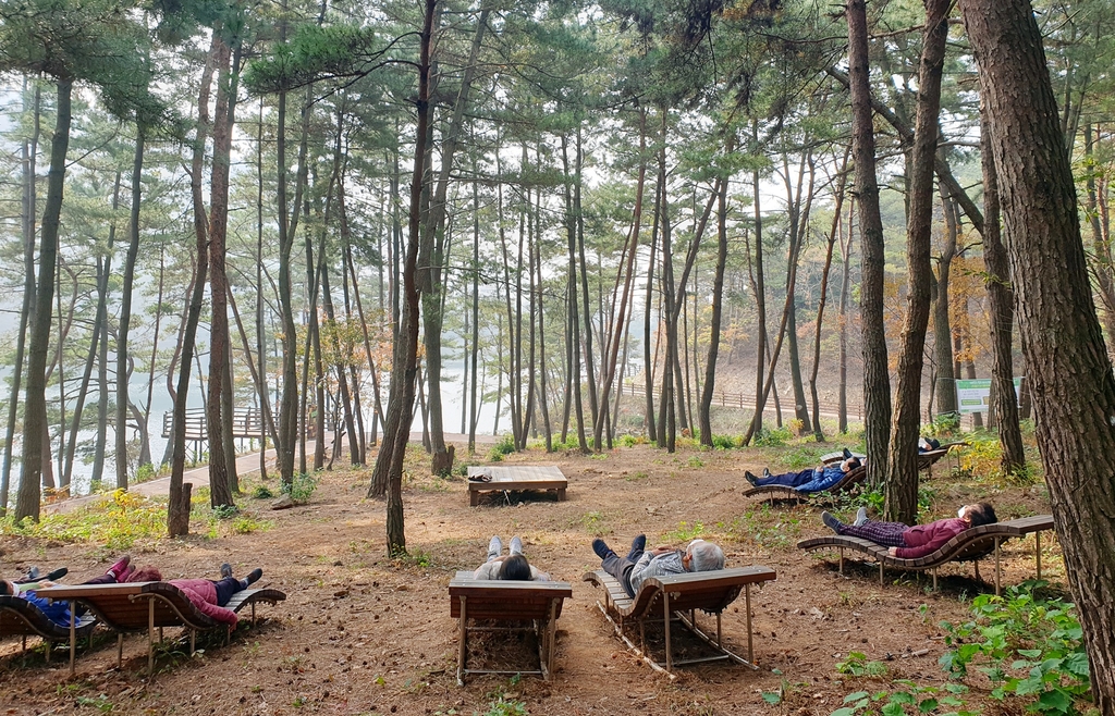 "충남기후환경연수원 우리가 적지"…당진·서천·청양 유치전