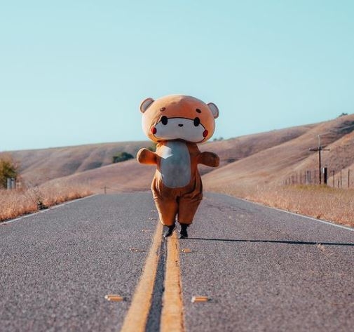 날도 더운데 곰인형 옷 입고 美대륙 640km 종단하는 남성, 왜?