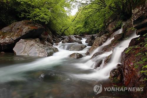 '외국인이 본 전북 매력은'…전북도, 영상 콘텐츠 공모