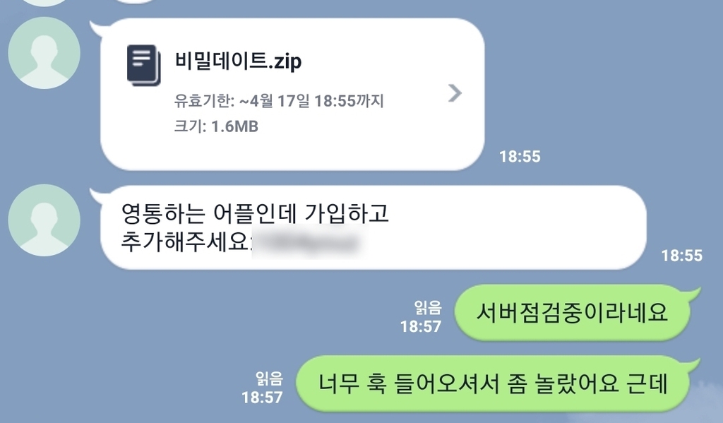 '로맨스 스캠'에 '몸캠피싱'까지…집콕족 겨냥 비대면 범죄 활개