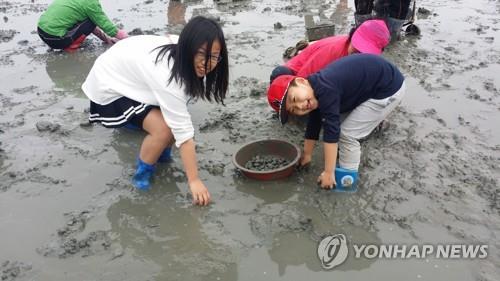 5월까지 전국 어촌체험휴양마을 방역점검…"코로나19 확산 대응"