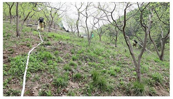 산불 현장 200ｍ 투입 가능한 소방장비 개발…'진화 역량 강화'