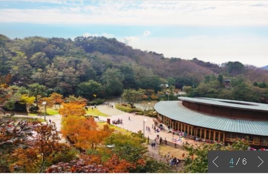 진해 목재문화체험장에 작품과 놀이기구 겸한 벤치 등장