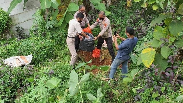 '멧돼지 흑마술' 사건에 인도네시아 '시끌'…경찰 "혹세무민"