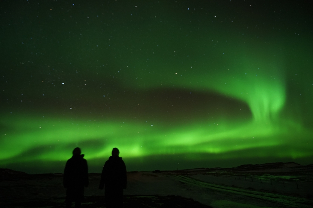 올해 최고의 남극·북극 사진은…'줄을 서시오'