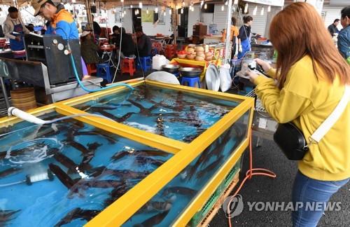 관광객이 강릉 찾는 이유는?