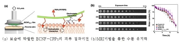 코스모코스, 신개념 수분 바이오 제형 기반 기술 개발