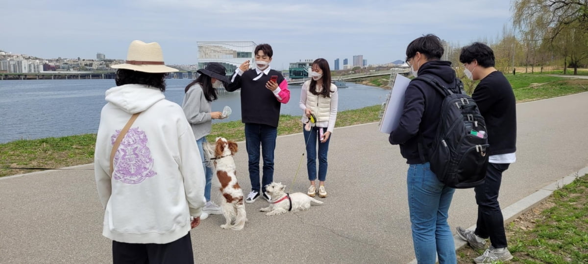 물에 녹는 배변봉투 `바크(Barrrk) 푸푸백`, 인트윈과 함께 라이브커머스 성료