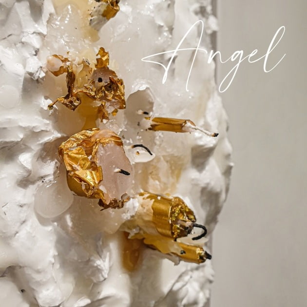 경매로 팔린 솔비의 새 음원 'Angel'이 낙찰자의 동의를 얻어 대중에 공개된다. / 사진제공=엠에이피크루