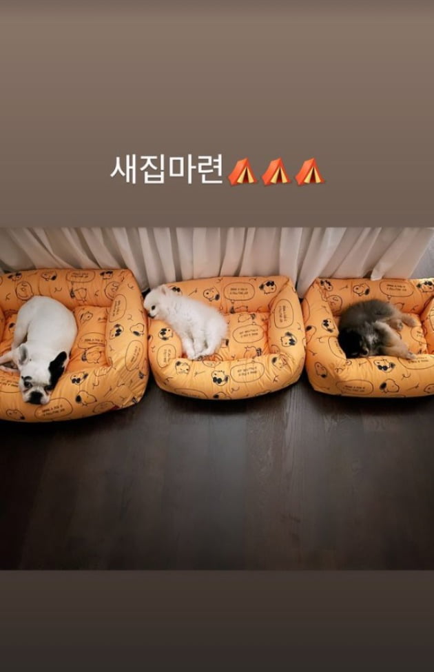 사진=성유리 인스타그램