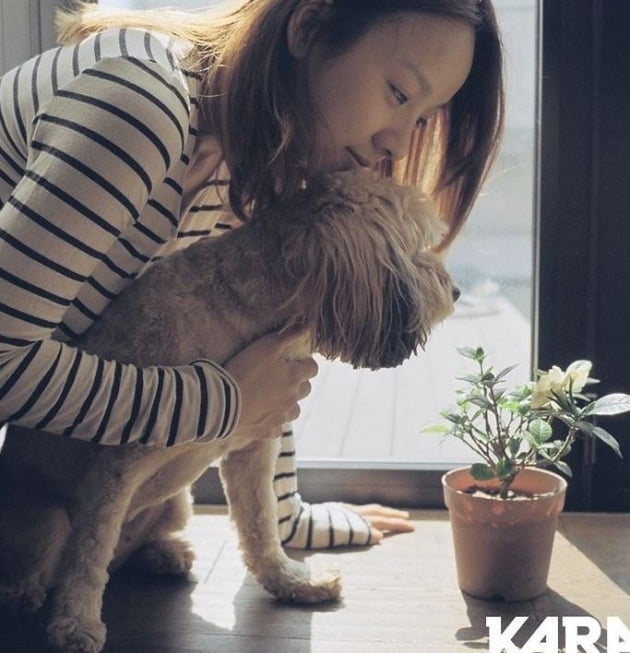 /사진=동물권행동 카라(KARA) 공식 인스타그램