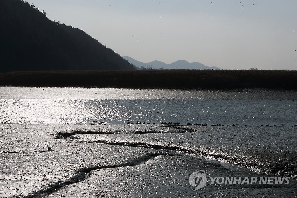 "순천만 해상데크가 생태계 훼손" 시민단체, 설치계획 철회 촉구