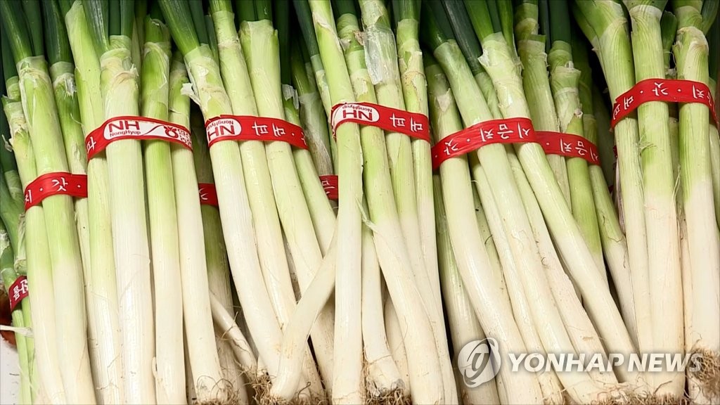 들썩였던 대파·달걀 가격 점차 안정세…고깃값은 제자리걸음