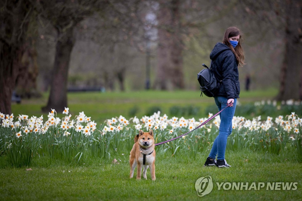 견공의 질투…"경쟁자에 관심 보이면 평소 3배 힘으로 반응"