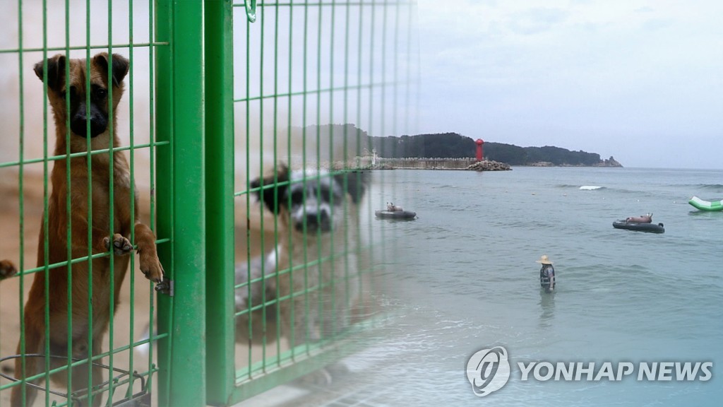 '버려진 강아지에 새 삶을'…전주시, 유기견 128마리 분양