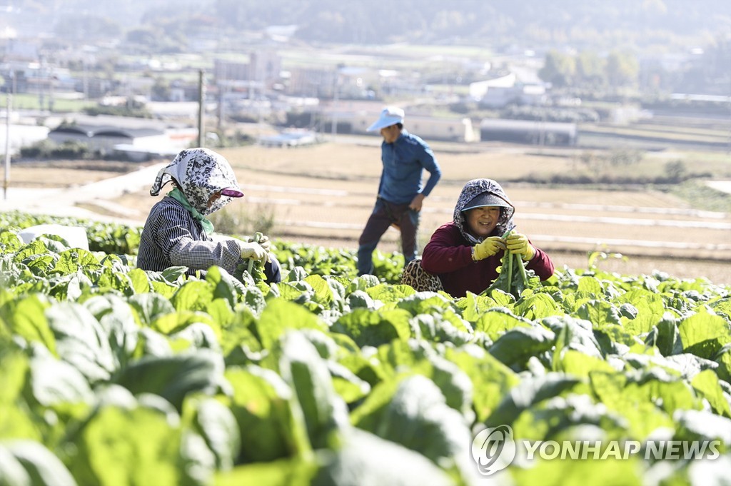 농촌융복합산업 신규지구 4곳 선정…"지역경제 거점 육성"