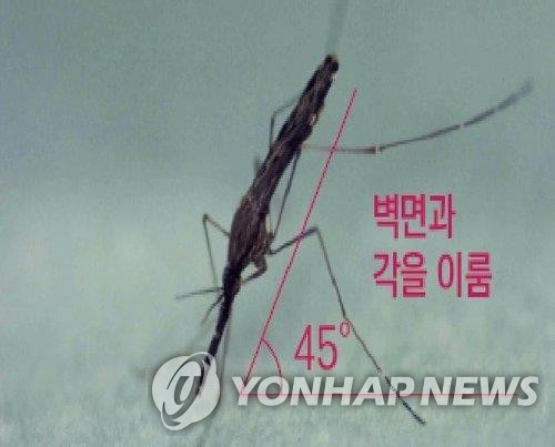 파주시 "감기증상 오래 가면 말라리아 검사 받으세요"