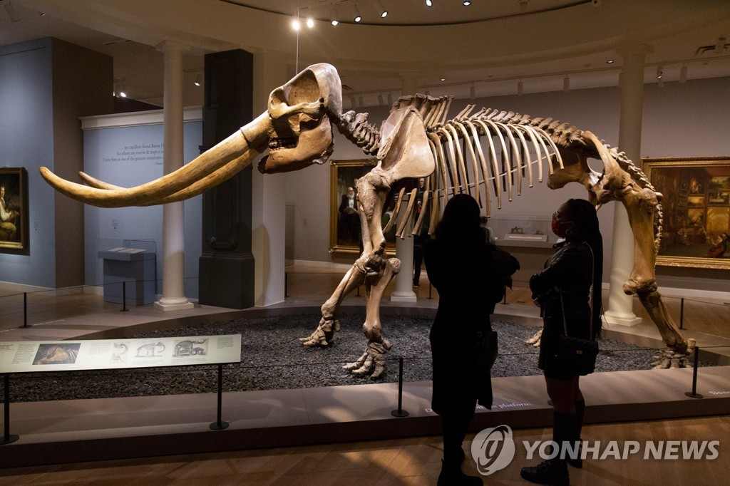 백신접종 속도 내는 미국, 박물관·동물원 재개장 준비