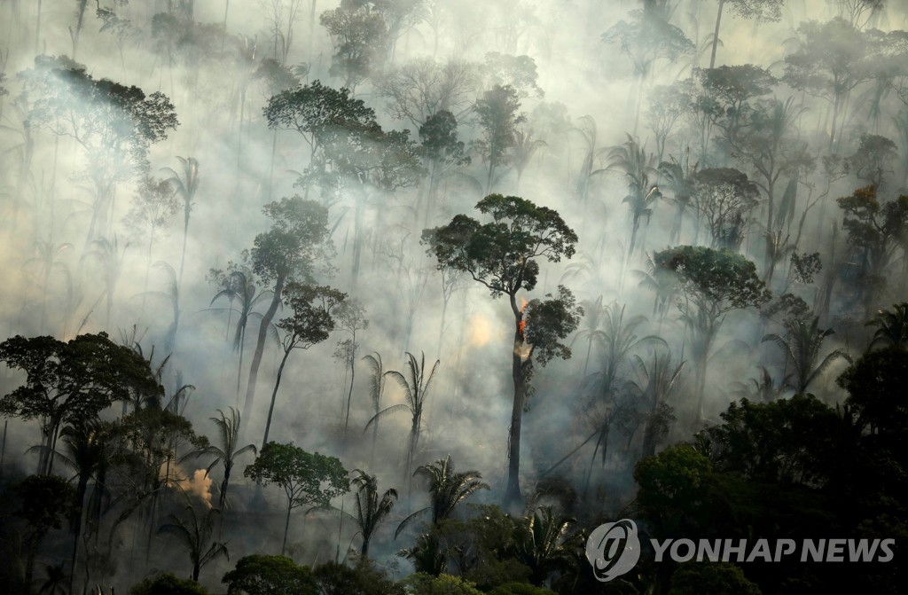 브라질, 미국에 "아마존 우림 보호에 10억달러 지원" 요청