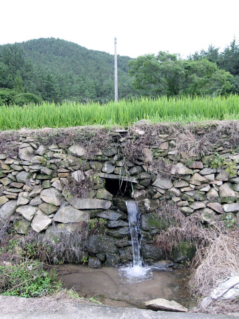 완도해경, 유네스코 세계유산 청산도 구들장논 보호 앞장