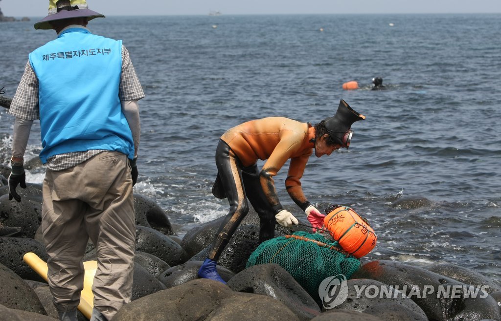 [줌in제주] 연안 바다 달구는 해루질 규제, 자원 보호? 과도한 규제?