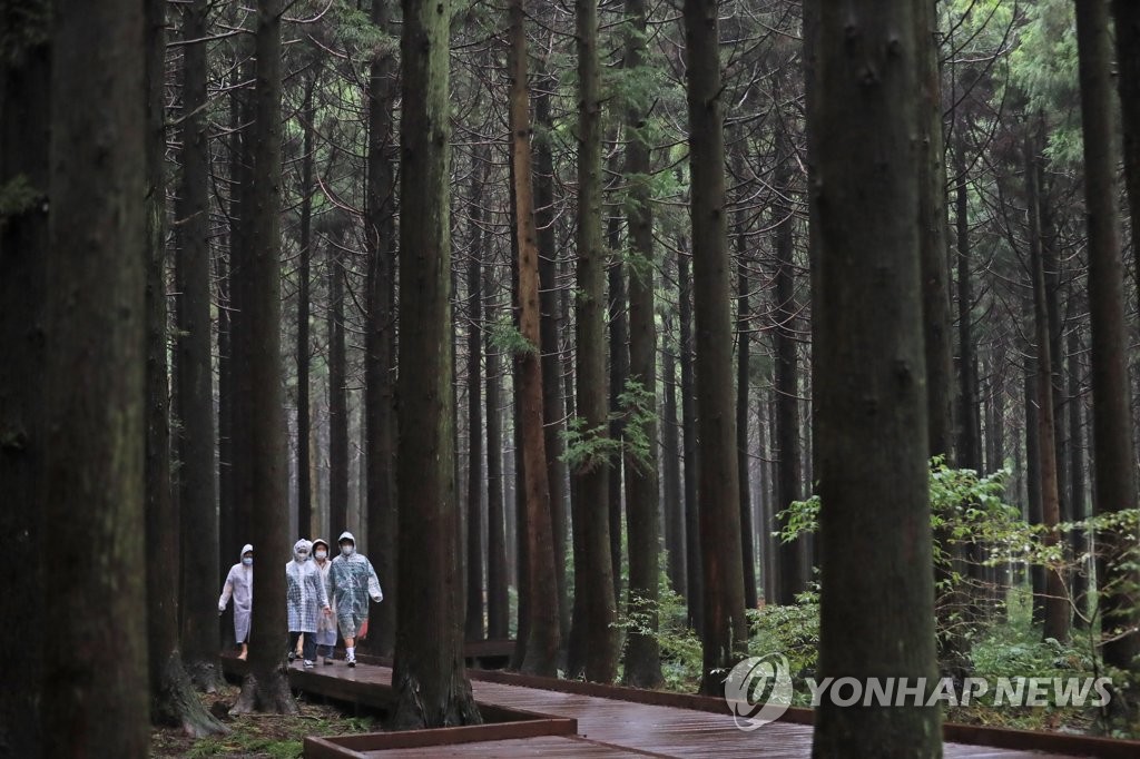 제주, 흐리고 비…예상강수량 5∼20㎜