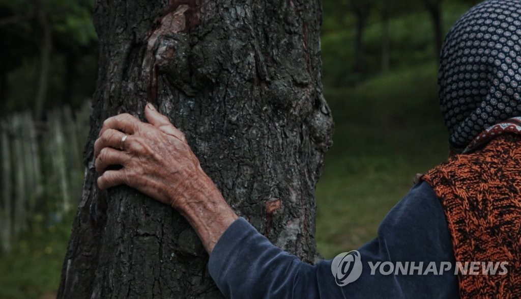 울주세계산악영화제 최고 영예 역대 국제경쟁 대상 수상작 관심