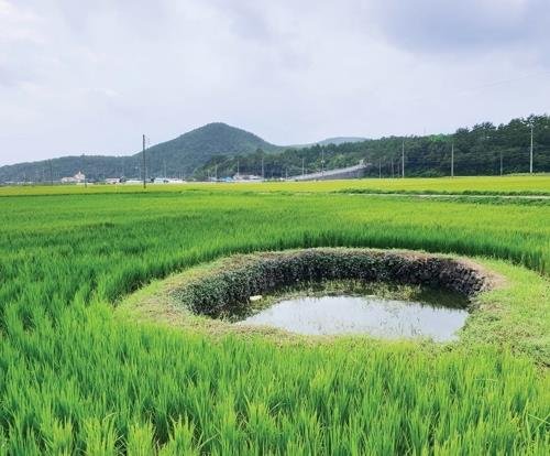 고성군 농사용 웅덩이 '둠벙' 세계관개시설물 유산 인증