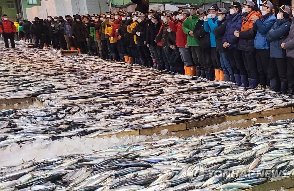 고등어 조업 부진에 지난해 부산 어업 생산 감소