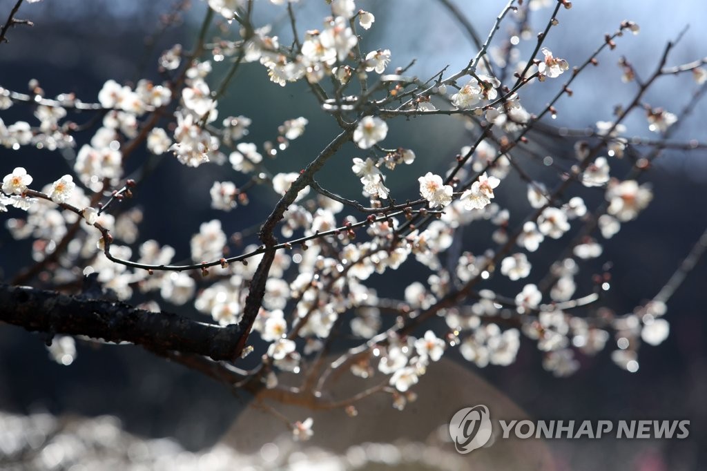 하늘 차츰 맑아진다는 '청명'…비 낮에는 대부분 그쳐