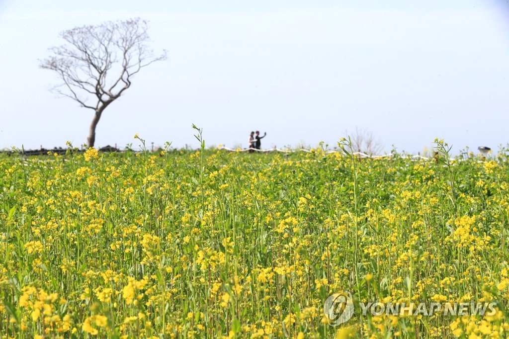 "관광객도 도민도 불만" 제주 관광의 딜레마 어쩌나