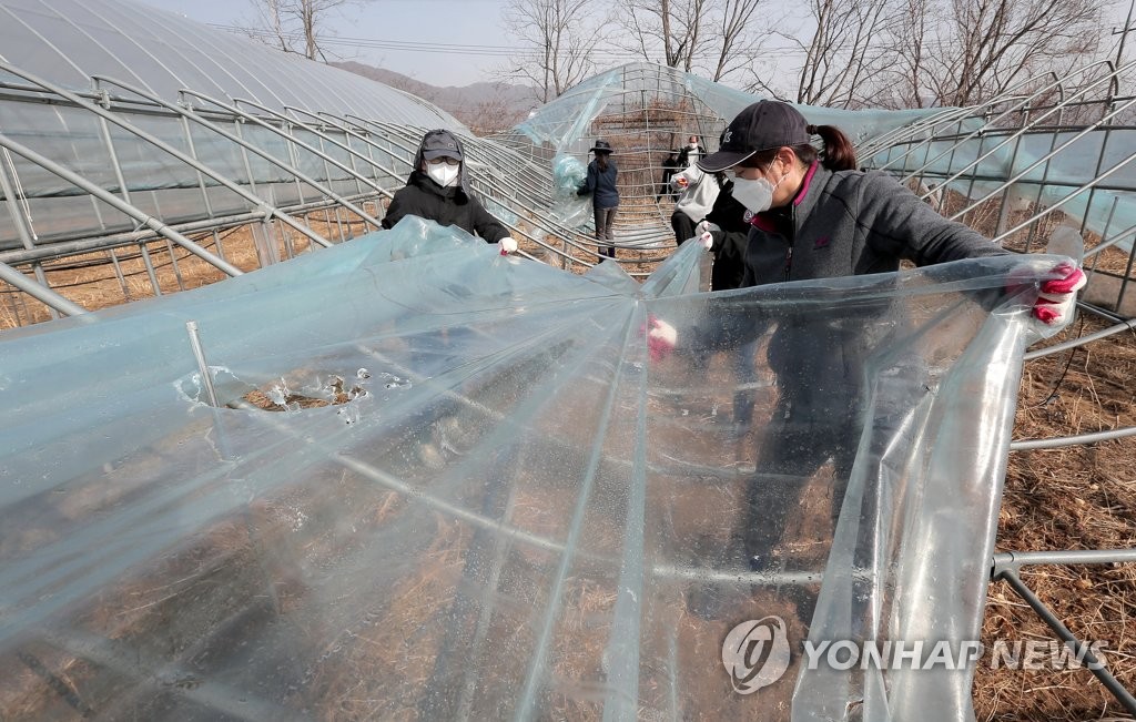 양구군 3월 폭설 피해 복구비 8억8천여만원 지급 전망